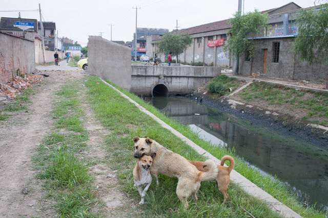 Beijing to Shanghai, image 9