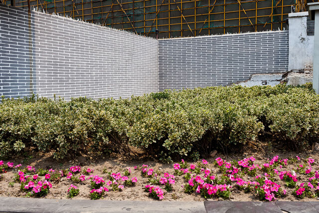 Intelligent landscape, image 4