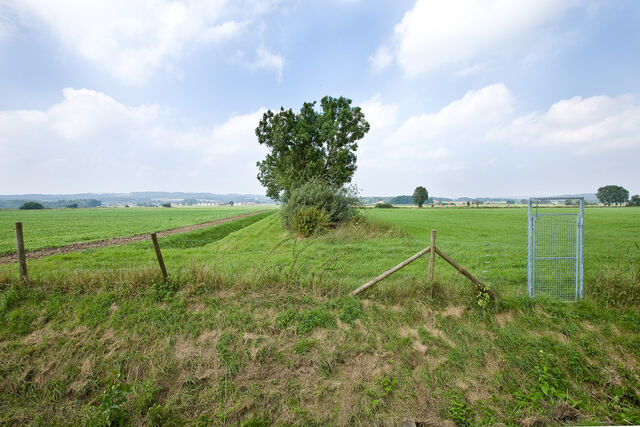 Intelligent landscape, image 12