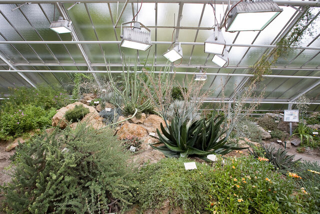 Intelligent landscape, image 19