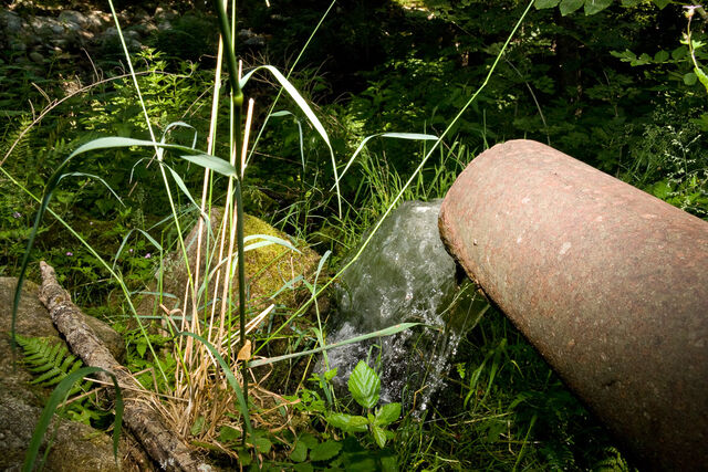 Intelligent landscape, image 21
